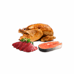 Meat, fish, chicken