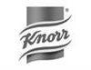 logo 357 knorr 100x77 1 Home