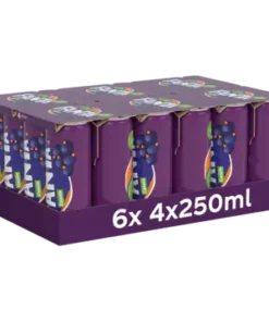 Fanta Cassis 24 stuks